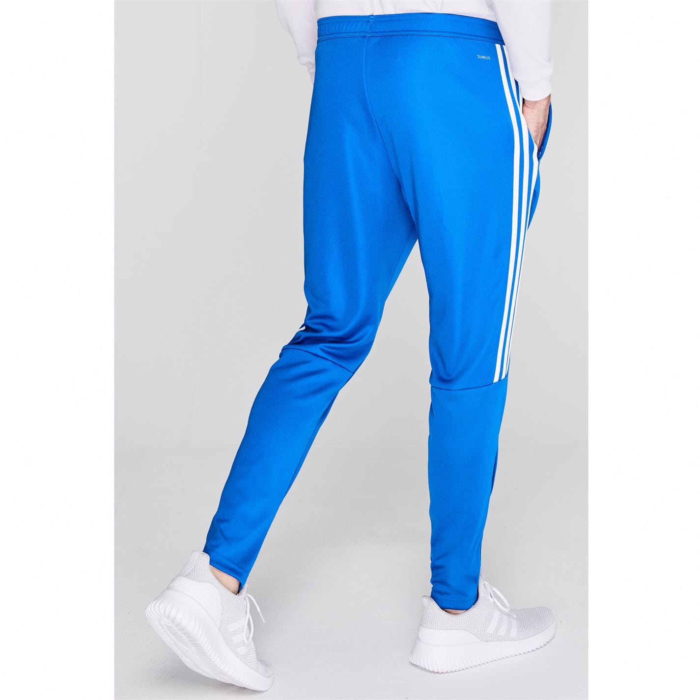 sereno track pants